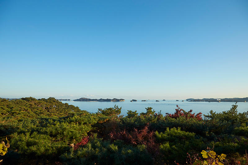 日本三景のひとつ「松島」