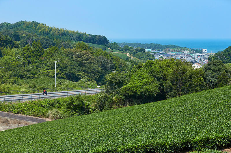 国道150号線