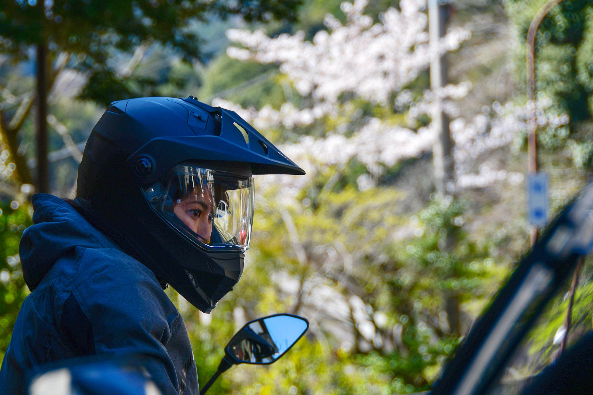 せっかくなので、途中、高速を降りて箱根に寄り道。