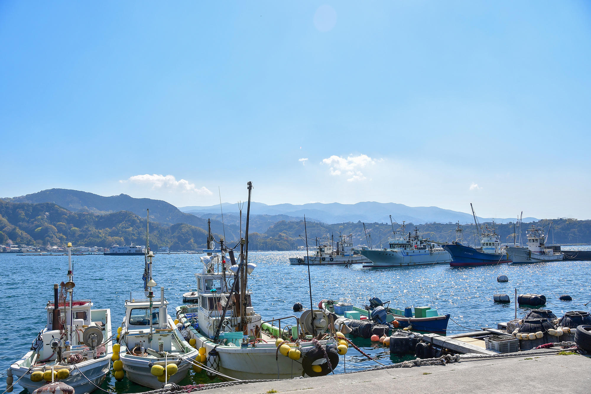 ヤマハマリーナ沼津近くの内浦漁港へ。