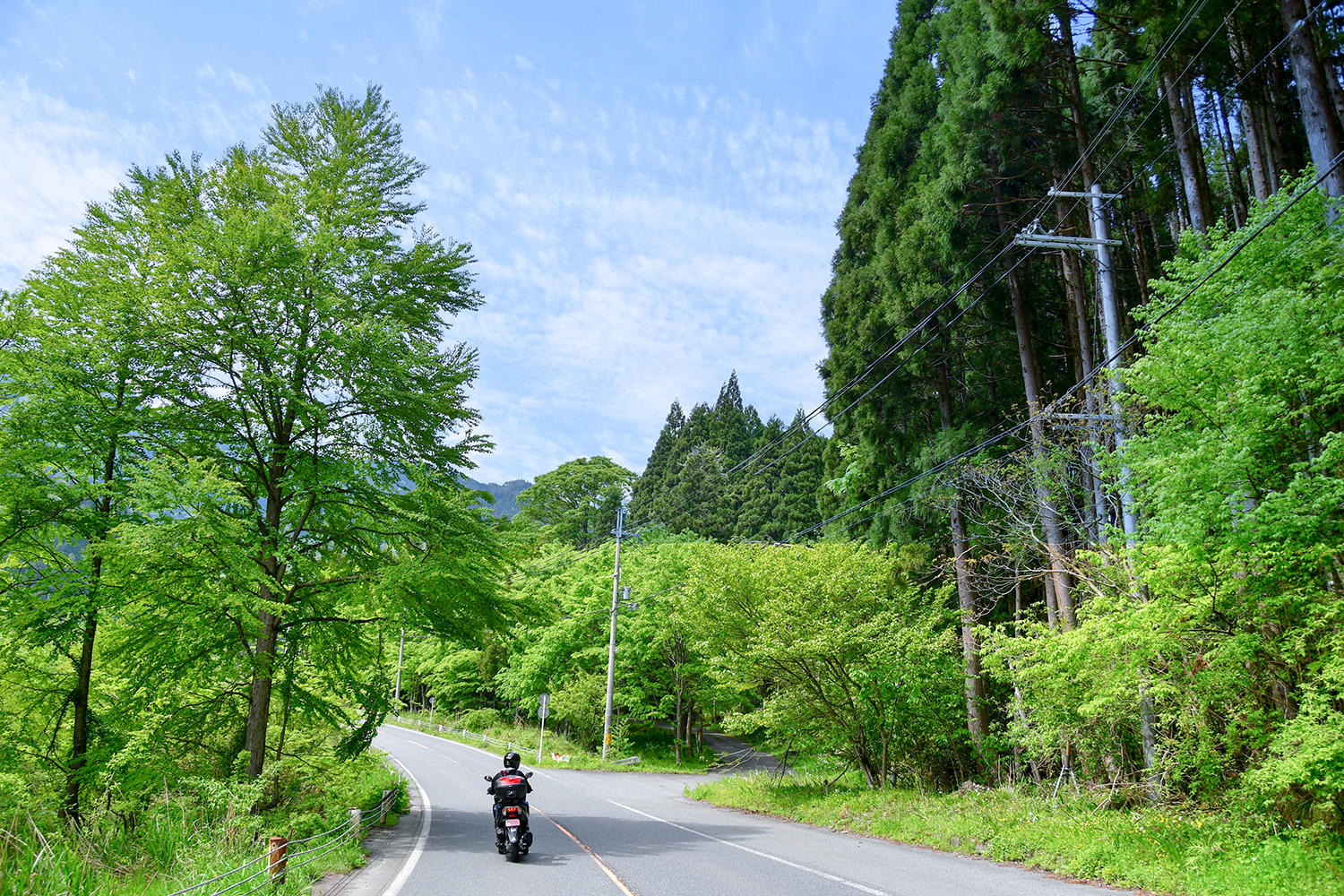 それにしても風薫る5月とはよく言ったもので、どこからともなくクチナシのようなジャスミンのような甘い香りが漂ってきました。