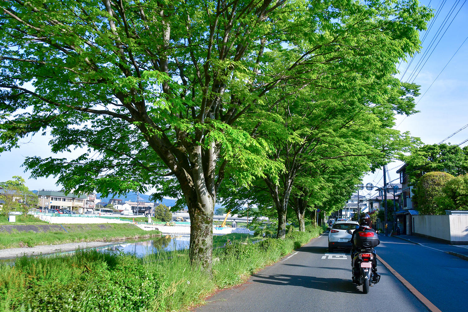 賀茂川沿いを南下し