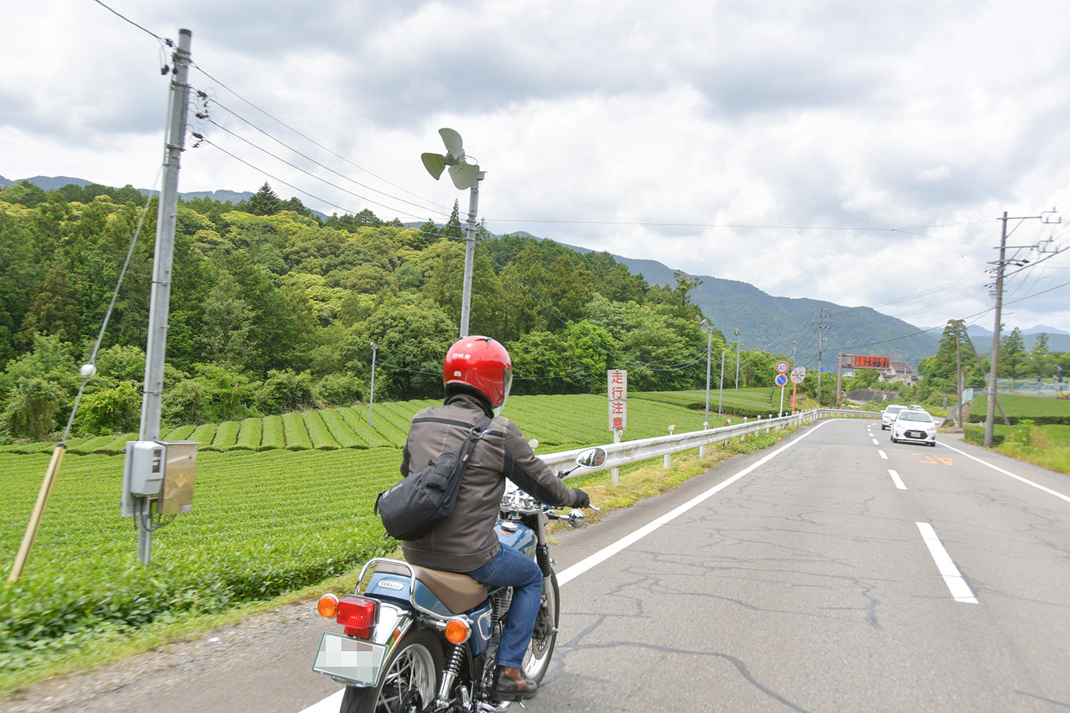 至るところに茶畑があり、静岡だなぁ?なんて思いながら