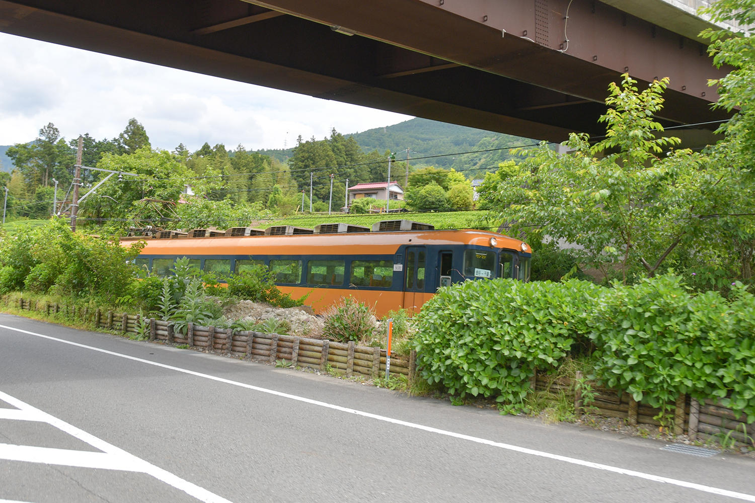 突然現れた電車にびっくり！