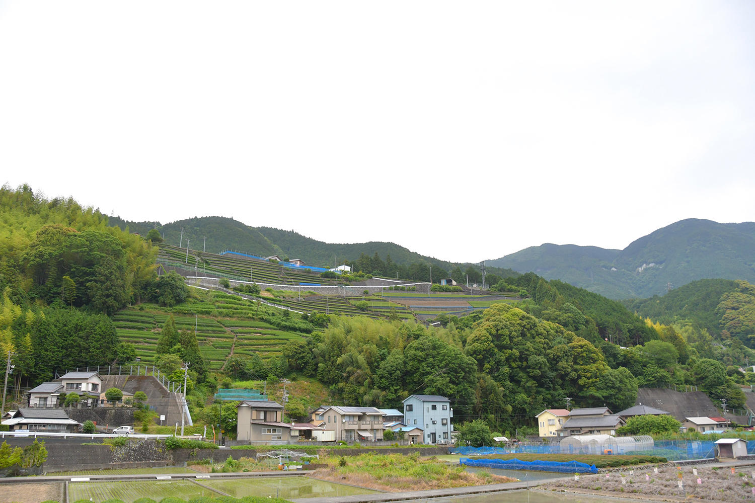 親子バイク 