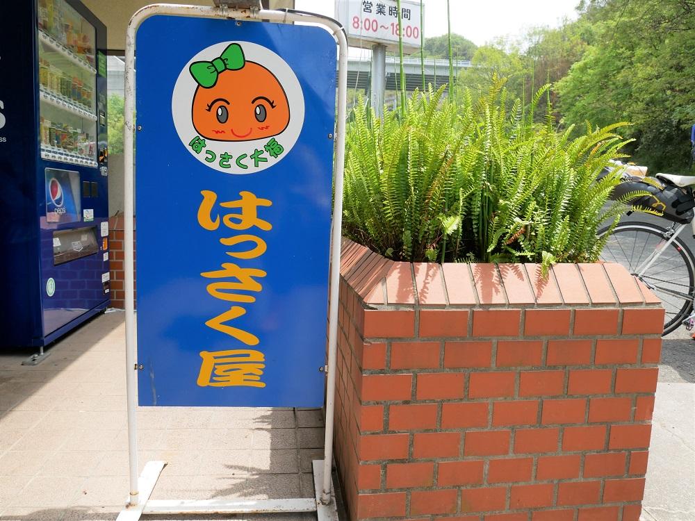 因島に着くなり向かったのは、はっさく大福で有名なはっさくさん。