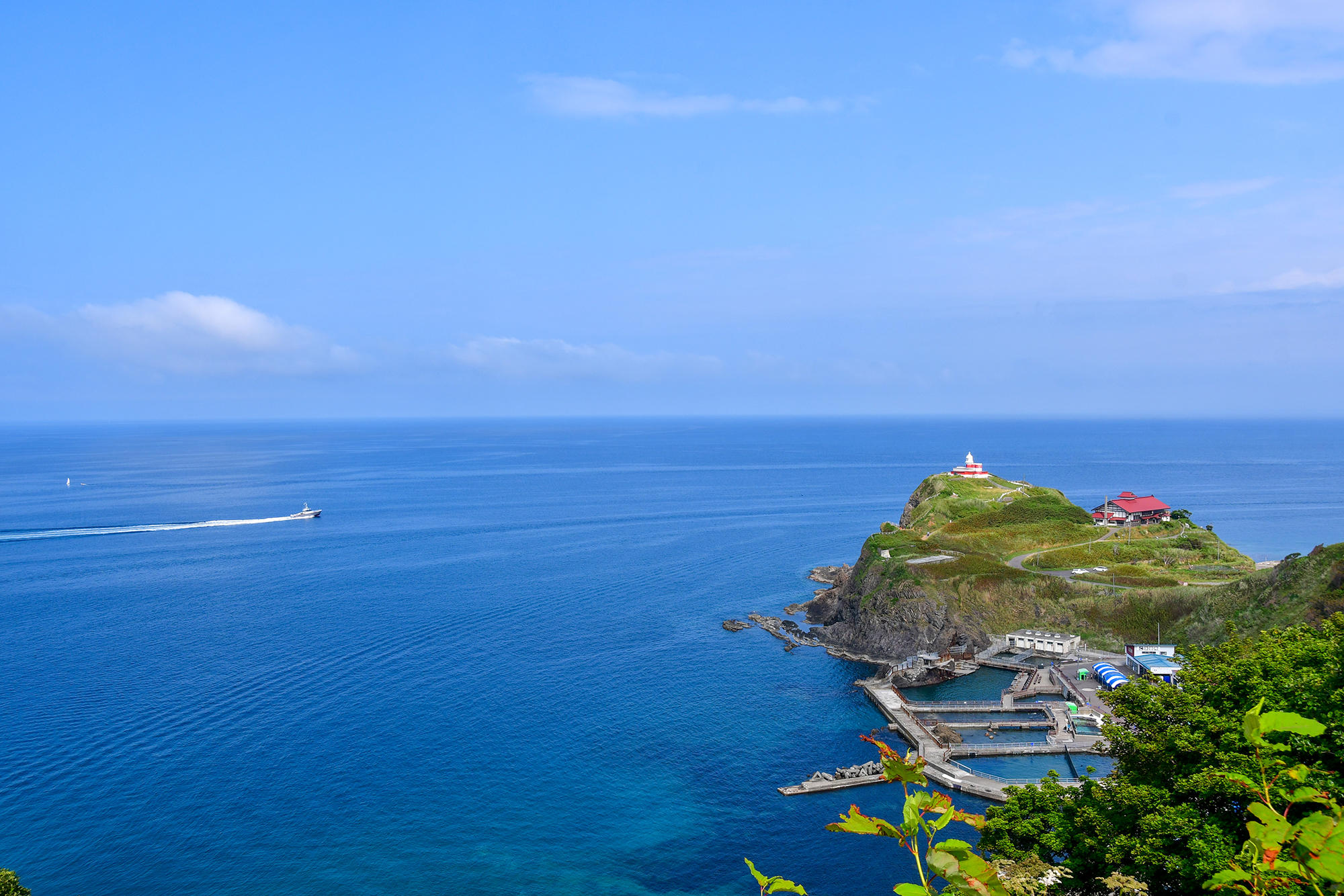 はるかに広がる、日本海の美しいこと！