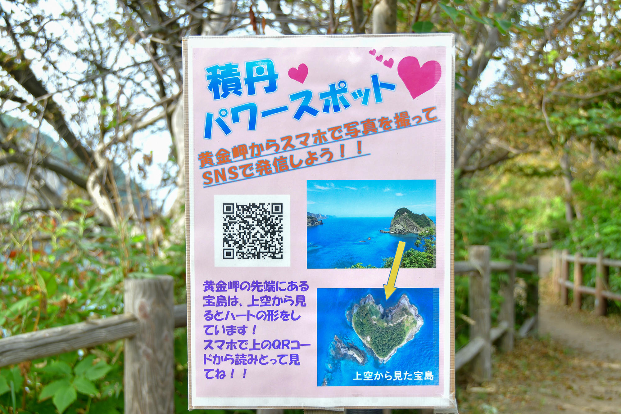 パワースポット?のかわいい文字に踊らされ（！？）、黄金岬でわちゃわちゃしている場合ではありませんでした......。反省......。