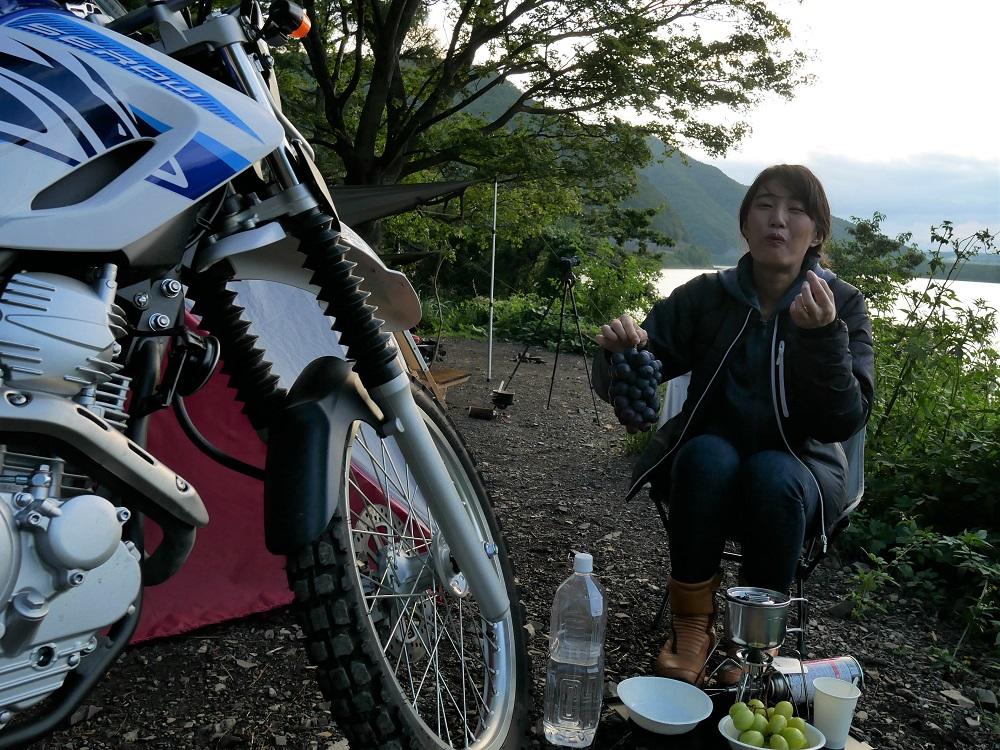 昨日調達したぶどうと