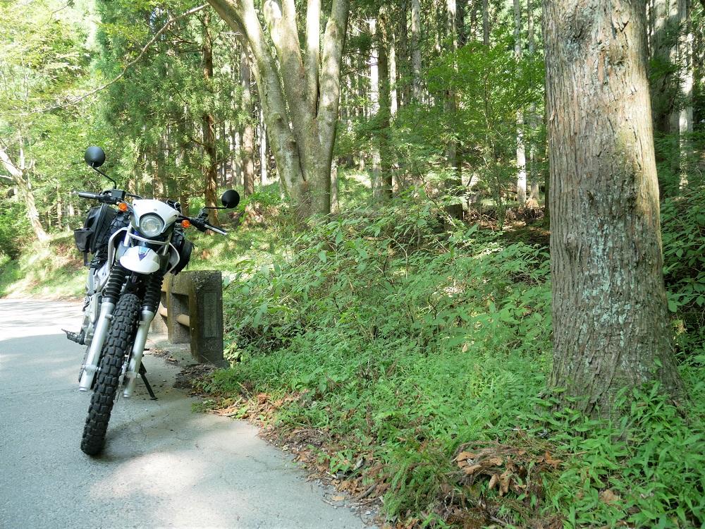 今度はワインディングでも景色を楽しむ道でもなく、冷川峠です。オフ車にピッタリな！急なコーナーが連続する峠道。今回のツーリングで一番楽しかったのがこの峠道でした。笑