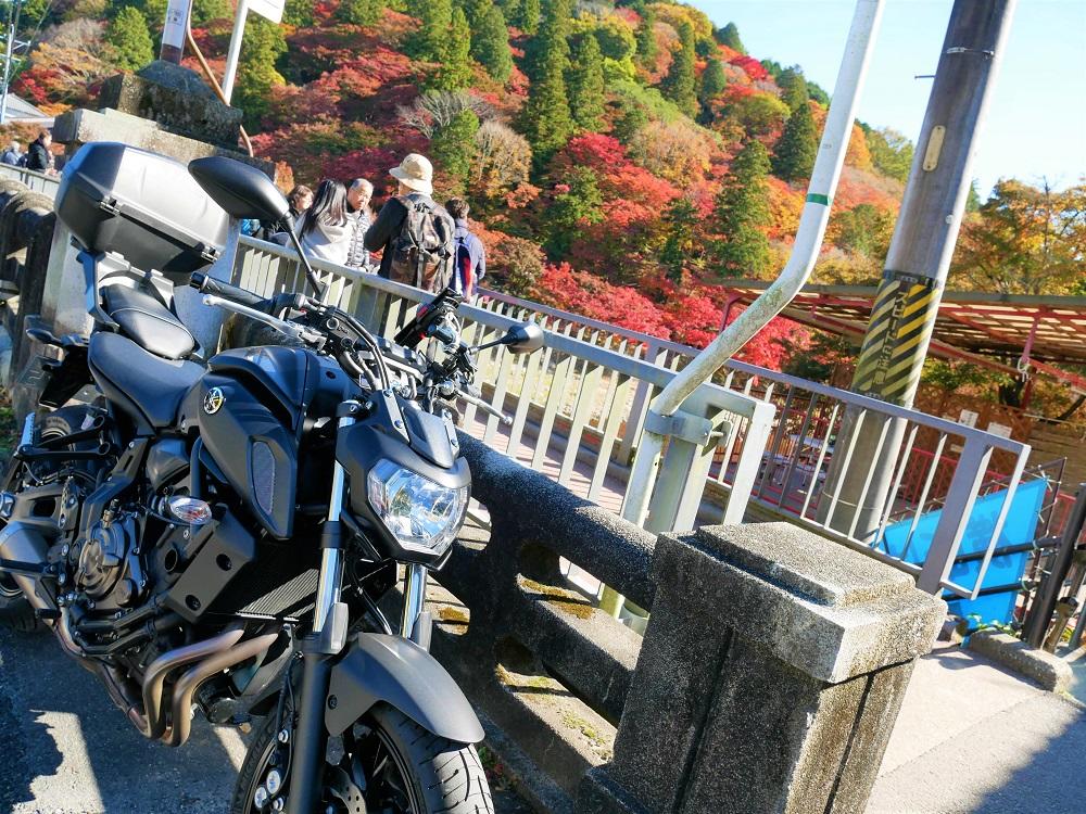 お腹も満たされたので、香嵐渓（こうらんけい）に向かいましょう。