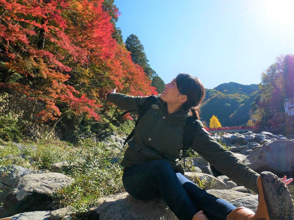 上から見る紅葉も抜群ですが、下から見上げる紅葉も日差しが入ってとてもキレイです。
