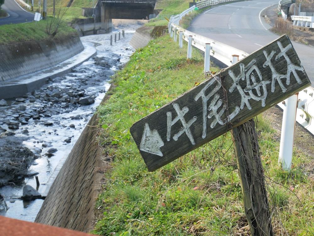 牛尾梅林