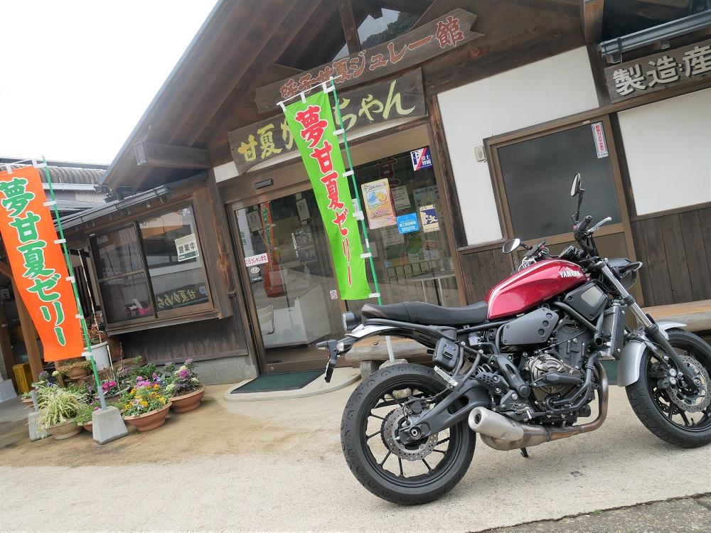 甘夏かぁちゃん