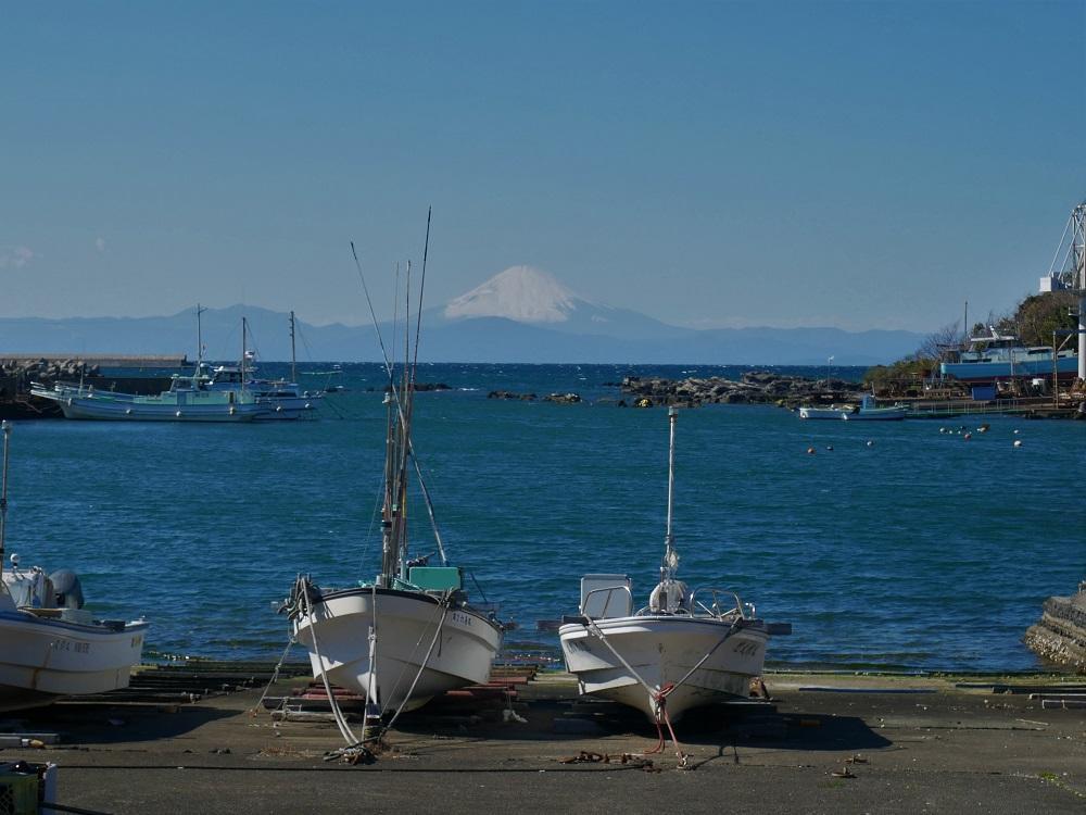 ・・・おっと、みさき魚市場に向かわないと！そろそろお腹も空いてきました。