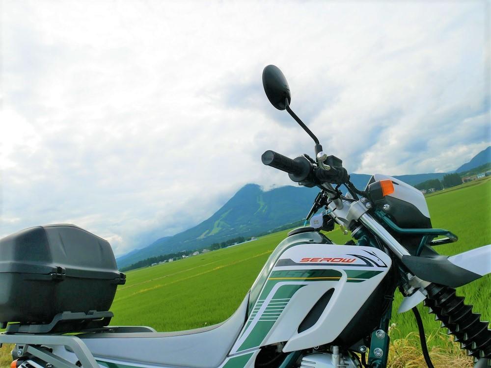 115号線道中