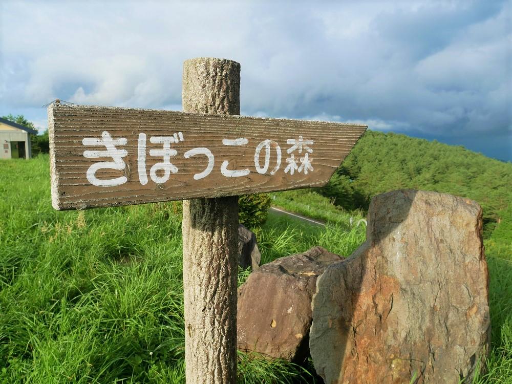 きぼっこの森案内