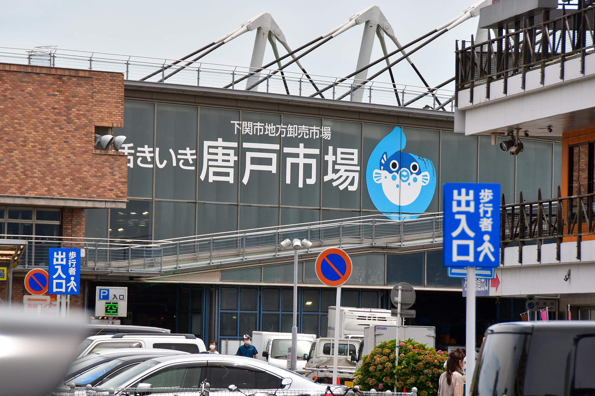 唐戸市場