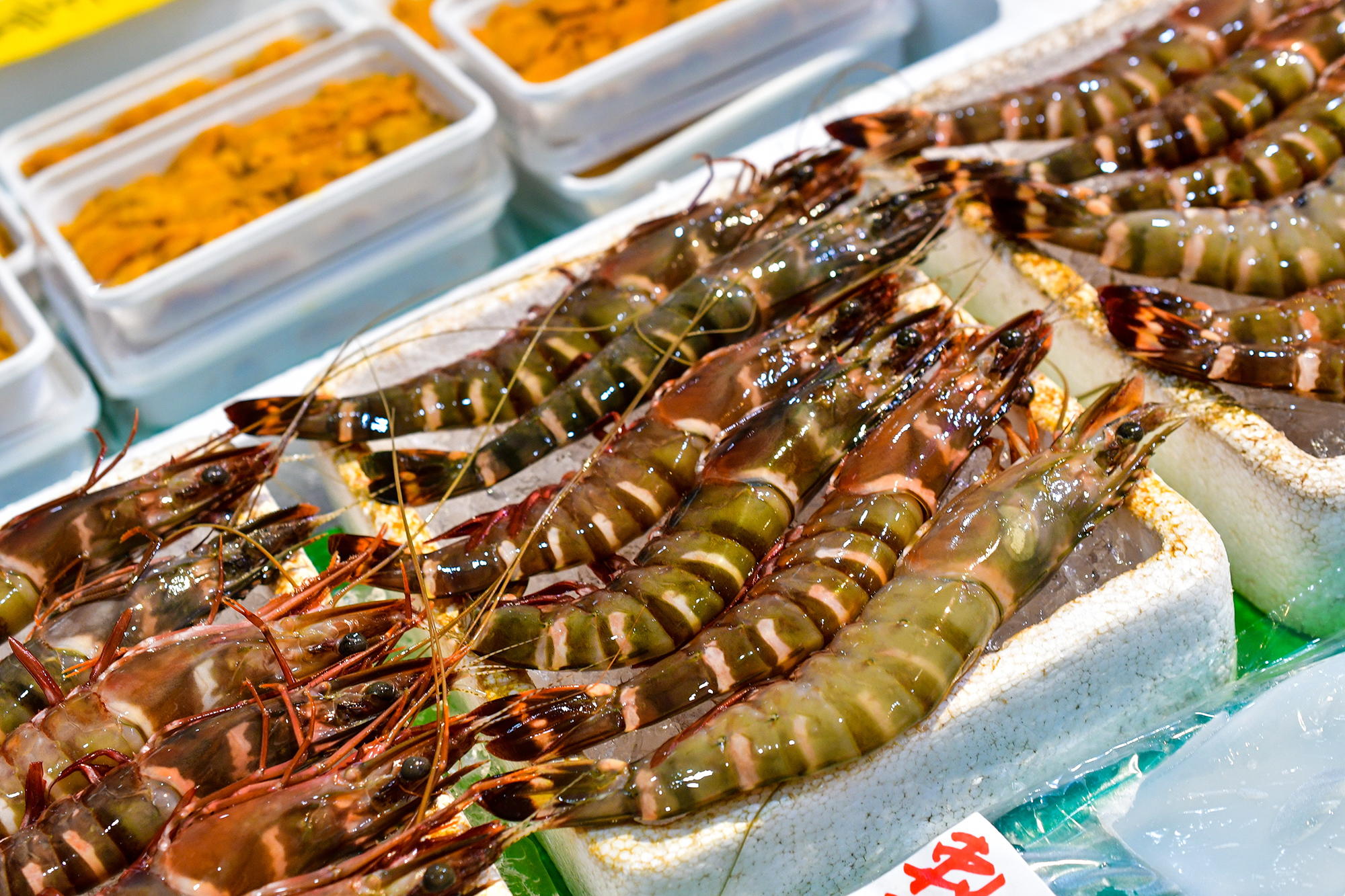 新鮮な魚介類がたくさんあり