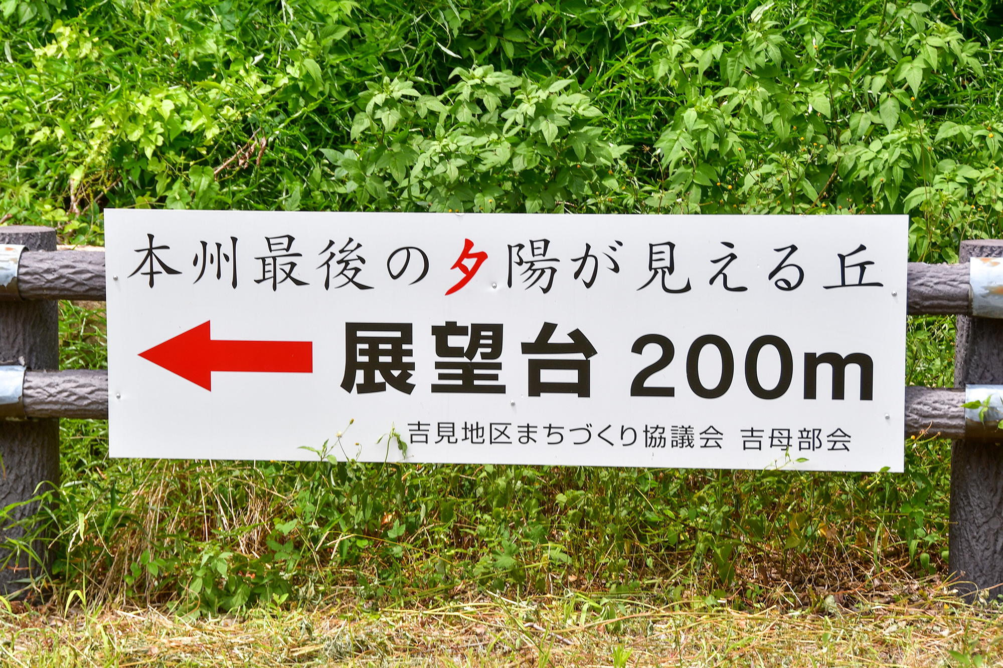 迷わず毘沙ノ鼻に到着できます。