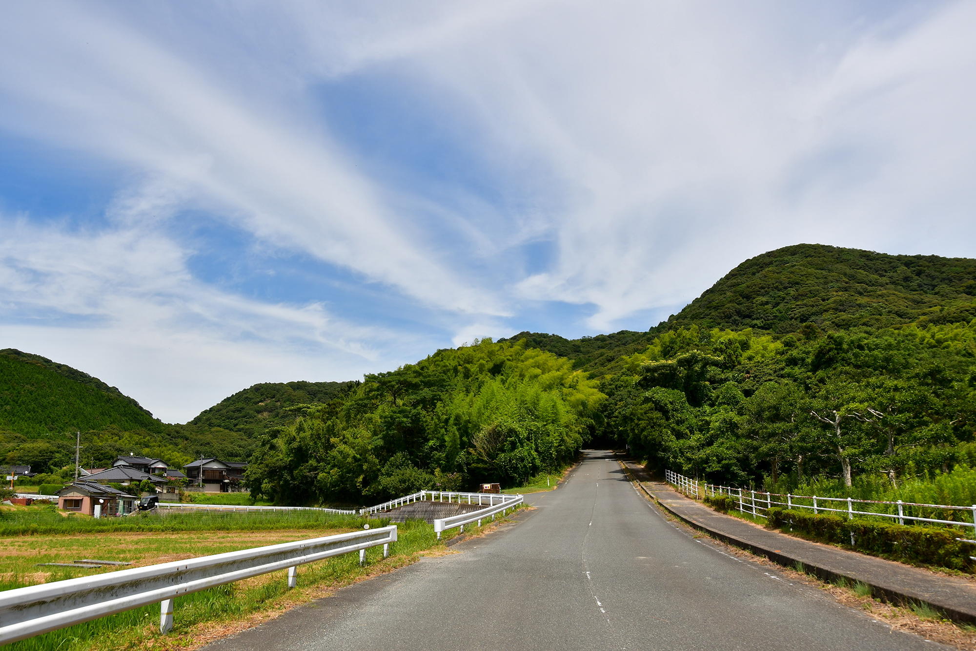 先ほど来た道を途中まで戻り