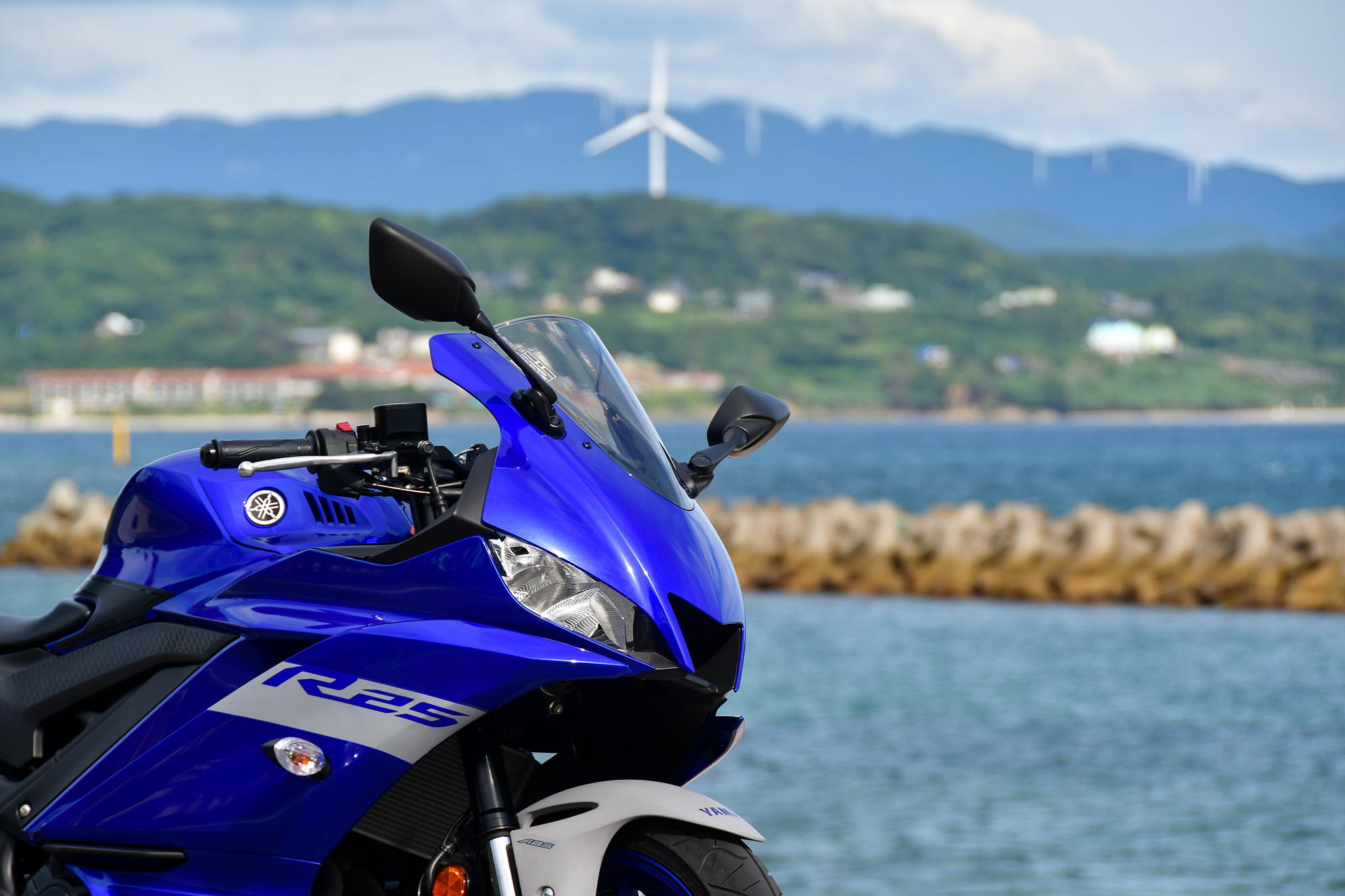 YZF-R25