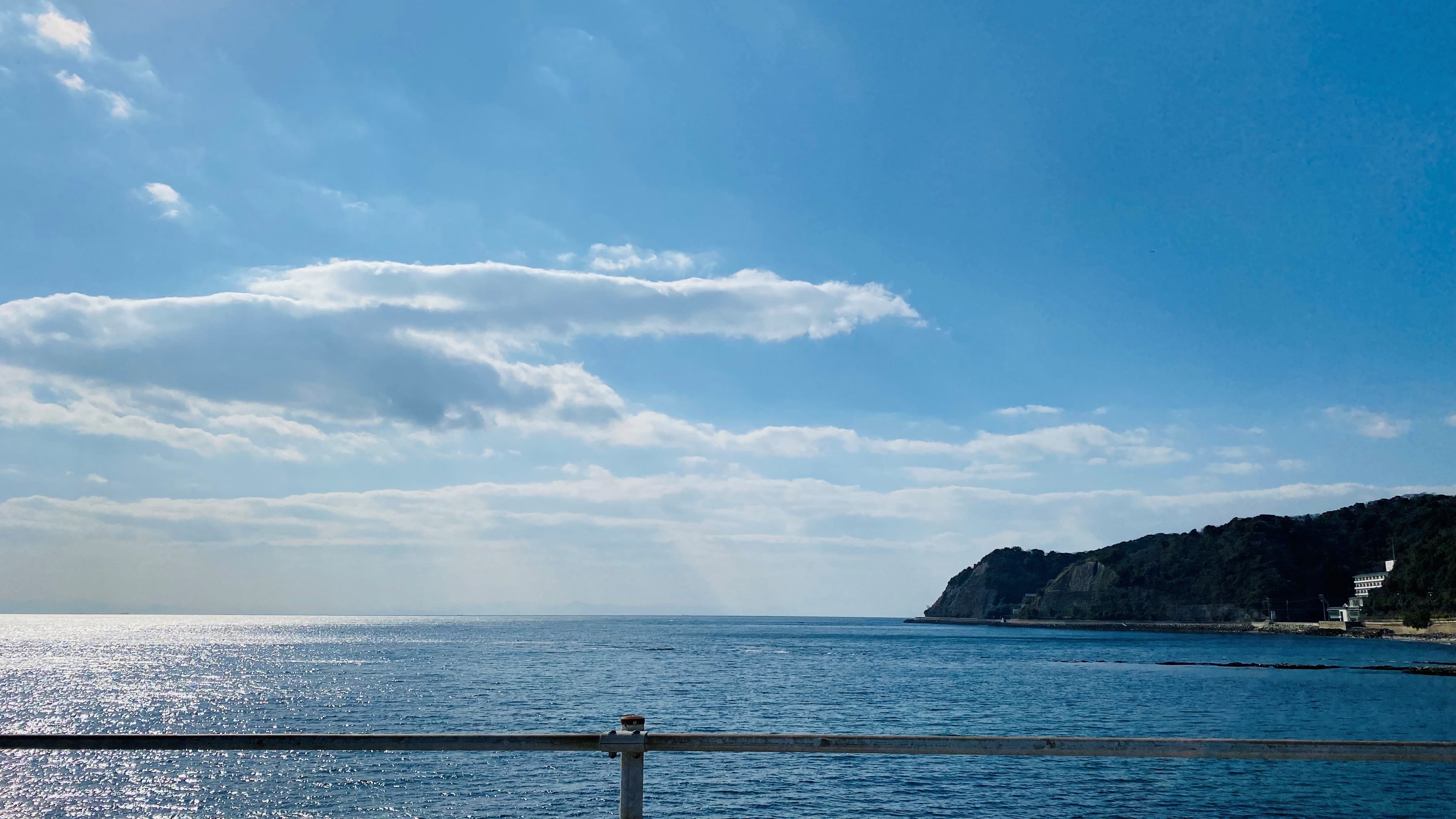 師崎港は伊勢湾と三河湾の新鮮な海の幸が水揚され、魅力的な海鮮グルメにあふれています。