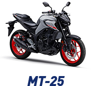 MT-25