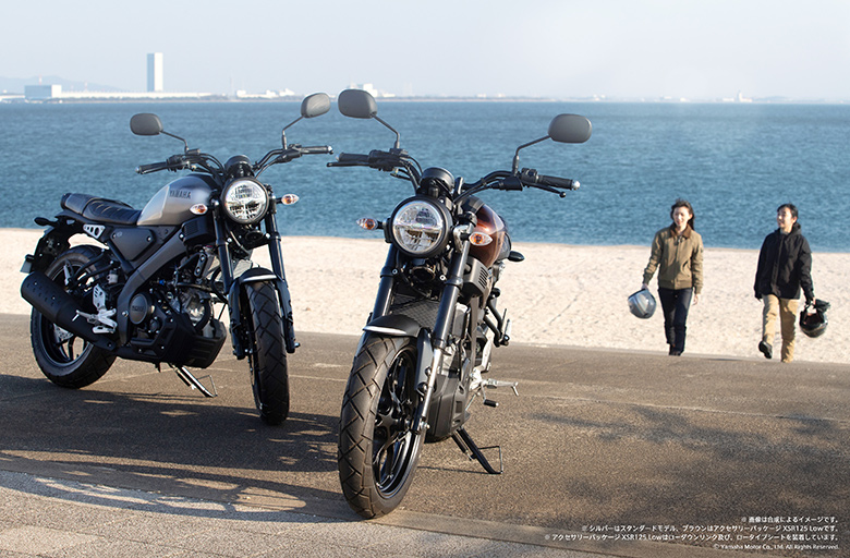 正統派スタイル